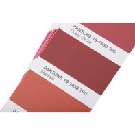 Pantone F&H Color Guide - FHIP110C